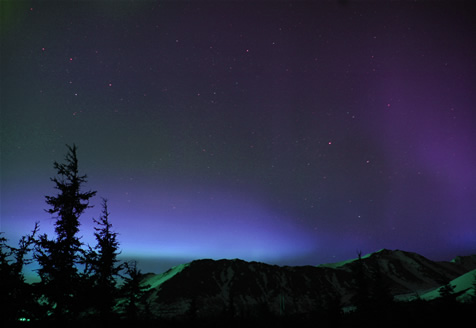 Purple Aurora