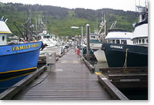 Kodiak