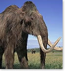 Mammoth