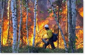 Nenana Fire