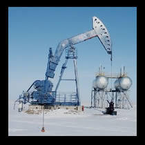 Crude oil fell after the IEA cut its forecast for oil demand growth this year for the third consecutive month.