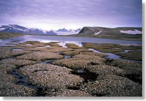 Alaska Permafrost