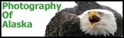 Alaska Photography