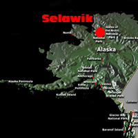 Selawik, Alaska In our isolated village of Selawik in Northwest Alaska, we had limited activities as young children, but my sister and I and our friends always found interesting things to play with in our community. One of our more intriguing adventures was playing in our backyard with just snow and willows.