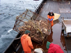 The Dark and Dirty Side of the Bering Sea Story You Wont See on the Discovery Channel