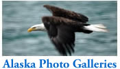 Photo Gallery