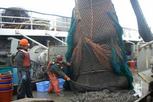 Alaska Trawling
