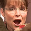 Palin rally