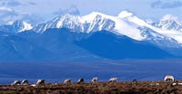 ANWR photo illustrates warming story. An agenda at work?