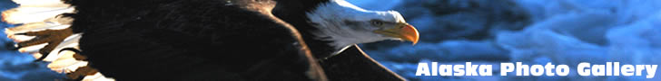 Alaska Photo Gallery