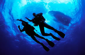 NOAA's Integrated Ocean Observing System (IOOS) is awarding $1.9M in fiscal year 2008 competitive grant funding to support ocean observing efforts in the Pacific Northwest.