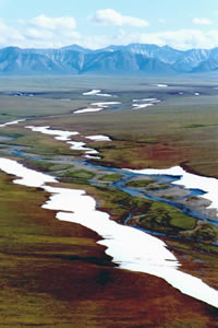 Here's one more reason to exercise extreme caution before developing oil prospects in the coastal plain of the Arctic National Wildlife Refuge.