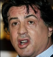 Rocky actor Sylvester Stallone has pleaded guilty to bringing vials of a restricted muscle-building hormone Jintropin into Australia.