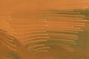 This satellite photo shows mud trails made by shrimp trawlers as they churn along in the ocean off the mouth of the Yangtze River.