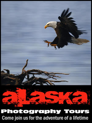 Alaska Photography Tours