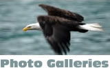 Photo Gallery