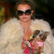Trailer park hero Britney Spears lost her visitation rights with her children because she ignored a judge's orders in her custody battle with her ex-husband Kevin Federline.