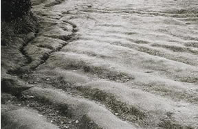 Washboard Road