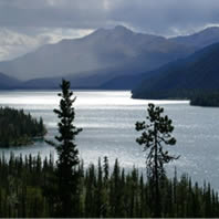 The Alaska Highway (also called the ALCAN Highway) is a long 1,390 mile (2,237 km) road stretching from Delta Junction, Alaska at its northwestern end to Dawson Creek, British Columbia, Canada at its southeastern end