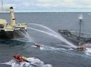 Anti-whaling countries have rejected a plan which could have seen Japan scale back its Antarctic hunting program in exchange for its return to commercial whaling.