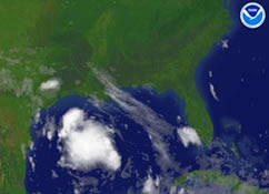 Tropical Storm Erin: Will It Pummel The Us Coast? Experts Warn... - tlolj1e